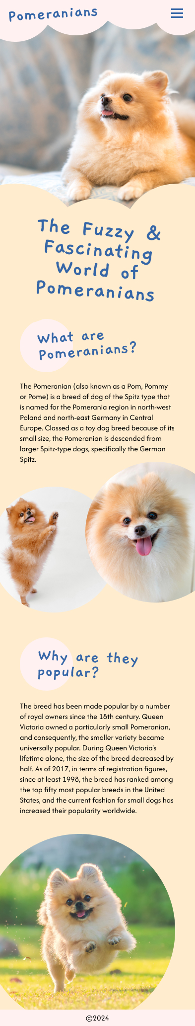 Pomeranians microsite mockup A mobile